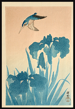 Ohara Koson - Kingfisher and Irises - 1926.