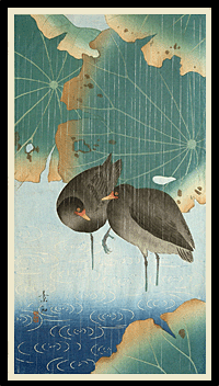 Rare Kacho-e - Komori Soseki - Black Moorhens Under Lotus In The Rain - c.1929.