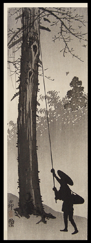 Koson  c.1910 - Man Harvesting A Nest - Shin Hanga.