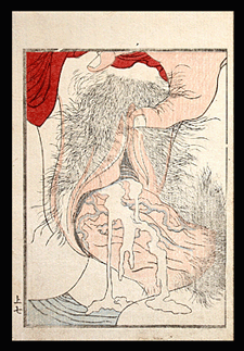 Keisai Eisen - Anatomical Close-Up - c.1825.