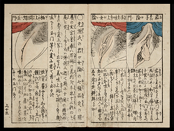 Shunga - Keisai Eisen - Vaginal Close-Ups - c.1839.
