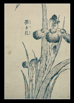 Aizuri-e – Irises – Utagawa Kuniyoshi - c.1840.