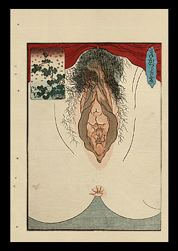Shunga – Anatomical Close-up Vagina – Keisai Eisen - c.1838.