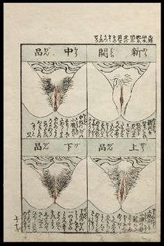 Erotic Print – Keisai Eisen – Close Up Various Vulvas – c.1822.