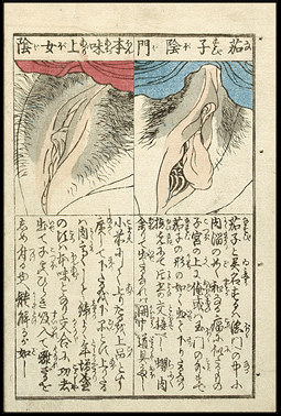 Shunga – Keisai Eisen – Two Vaginal Close-ups – c.1839.