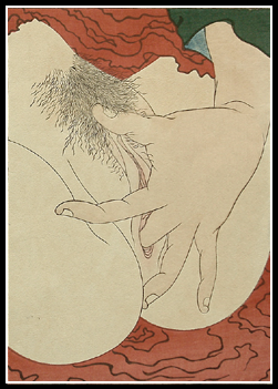 Shunga – Hokusai – Vaginal Close-Up – Young Pine Saplings – c.1912.