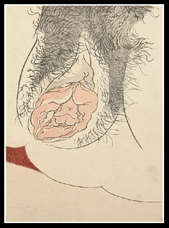 Shunga – Kuniyoshi/Hiroshige – Close-up Vagina – c.1838.