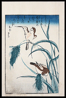 Utagawa Kunimori – Sparrows And Rice Plants – c.1830. 
