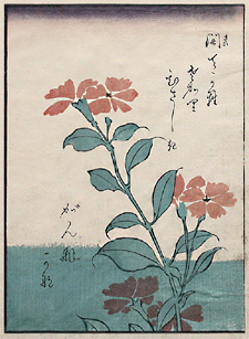 Shunga – Keisai Eisen – Flower 1 – c.1838.