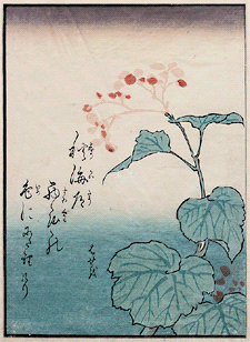 Shunga – Keisai Eisen – Flower 3 – c.1838.
